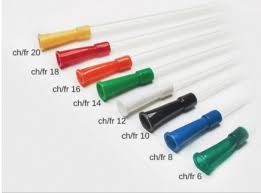 STOMACHS CH(6;8;10;12;14;16;18)